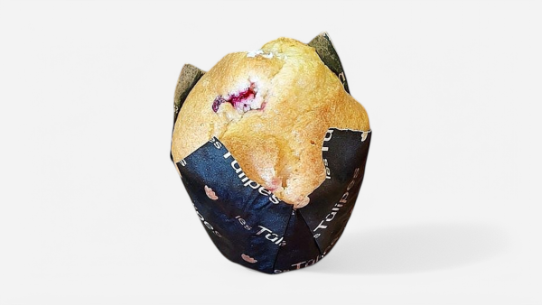 Cranberry Yoghurt Muffin